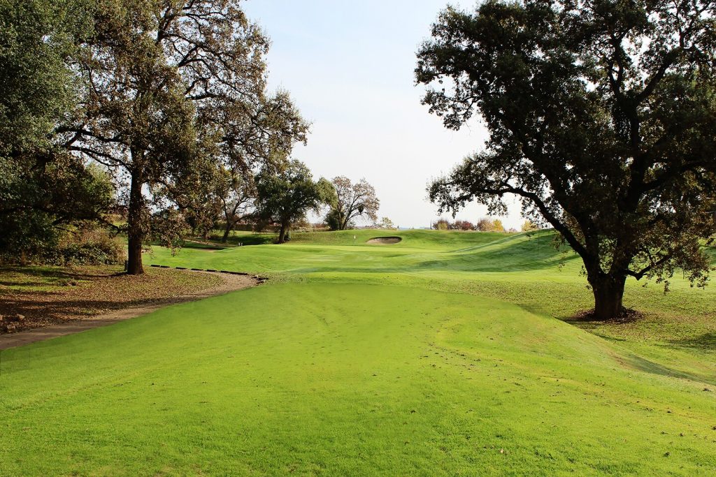 Tree-lined golf hole at Castle Oaks Golf Club featuring a rolling fairway, elevated green, and sand bunker.