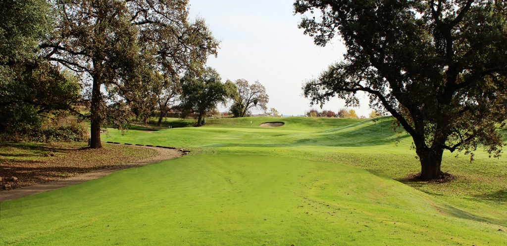 Oak-lined golf hole at Castle Oaks Golf Club featuring a rolling fairway, elevated green, and sand bunker.