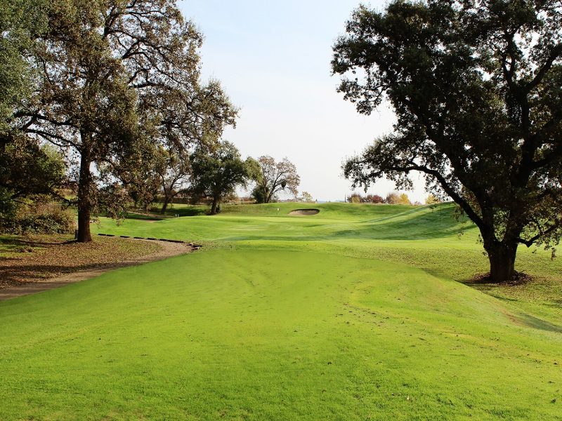 Tree-lined golf hole at Castle Oaks Golf Club featuring a rolling fairway, elevated green, and sand bunker.
